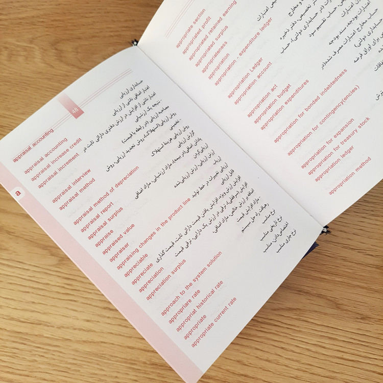 کتاب فرهنگ تخصصی حسابداری میر انتشارات آییژ (دست دوم)