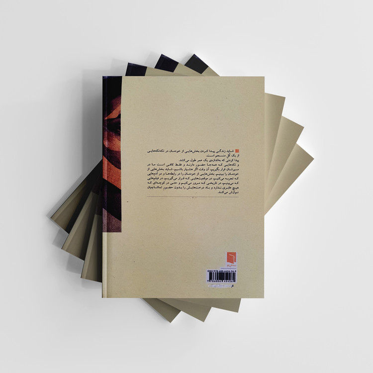 تکه هایی از یک کل منسجم انتشارات بینش نو (دست دوم)