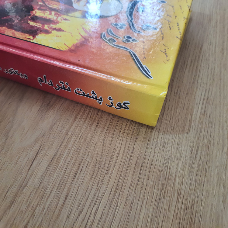 کتاب گوژپشت نتردام اثر ویکتور هوگو انتشارات اینا (دست دوم در حد نو)